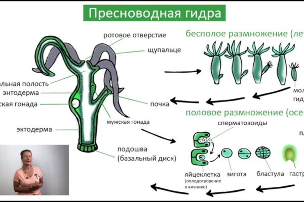 Свежие ссылки кракен